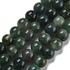 Natural Green Moss Stone Round Bead Strands G-P070-49-6mm-1