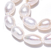 Natural Cultured Freshwater Pearl Beads Strands PEAR-N012-07R-3