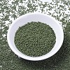 MIYUKI Delica Beads X-SEED-J020-DB1135-2