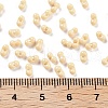 Baking Paint Glass Seed Beads X1-SEED-A033-05G-3