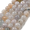 Faceted Natural Dragon Veins Agate Beads Strands G-F447-12mm-I02-2