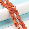 Natural Howlite Beads Strands TURQ-K006-01C-2