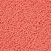 11/0 Grade A Baking Paint Glass Seed Beads X-SEED-N001-A-1005-2