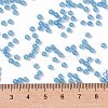 MIYUKI Round Rocailles Beads X-SEED-G007-RR0573-4