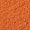 MIYUKI Round Rocailles Beads SEED-G007-RR2313-3