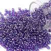 TOHO Round Seed Beads SEED-XTR08-0252-1