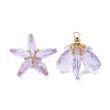 Glass Pendants PALLOY-MZ00741-04-1