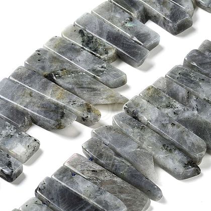 Natural Labradorite Beads Strands G-L551B-06-1