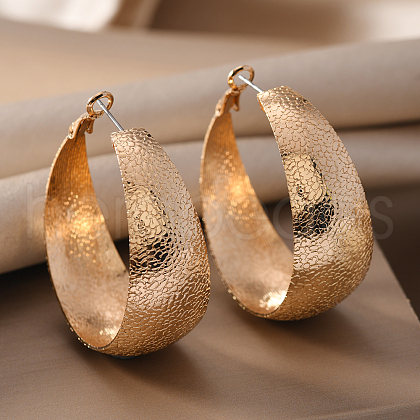 Iron Textured Hoop Earrings EF7295-1