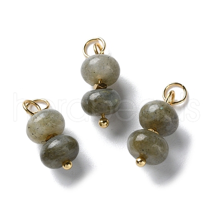Natural Labradorite Rondelle Beaded Pendants STAS-C120-03G-01-1