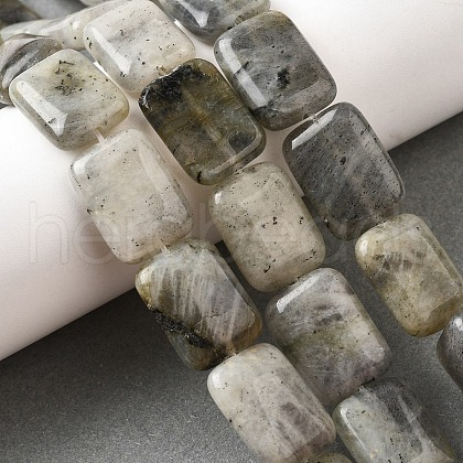 Natural Labradorite Beads Strands G-S386-A03-1