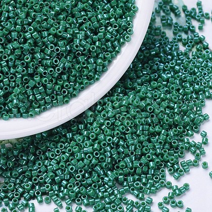 MIYUKI Delica Beads SEED-J020-DB0656-1