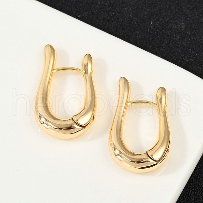 Brass Hoop Earrings EJEW-Q016-16G-1