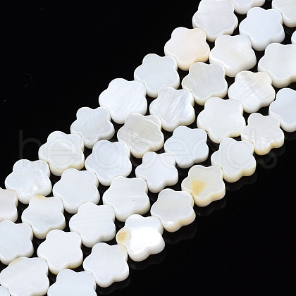 Natural Freshwater Shell Beads Strands SHEL-S278-078A-01-1
