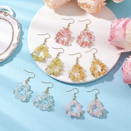 Natural Mixed Stone Beads Dangle Earrings EJEW-JE06388-1