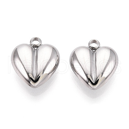 304 Stainless Steel Charms STAS-T065-80P-1