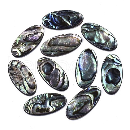 Natural Abalone Shell/Paua Shell Cabochons SSHEL-N034-74-1