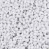Baking Paint Glass Seed Beads SEED-T006-03A-2
