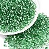 6/0 Baking Paint Transparent Glass Seed Beads X1-SEED-N006-06K-1
