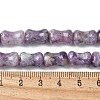Natural Quartz Beads Strands G-M445-B02-01-5