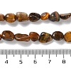Natural Tiger Eye Beads Strands G-P497-01C-12-5