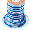 Segment Dyed Polyester Thread NWIR-TA0001-03B-4