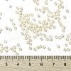 MIYUKI Round Rocailles Beads X-SEED-G008-RR0491-4