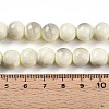 Baking Painted Glass Beads Strands DGLA-N013-10mm-02-4