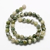 Natural Tree Agate Beads Strands G-G735-02-6mm-2