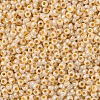MIYUKI Round Rocailles Beads SEED-X0054-RR0529-2