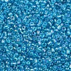 Round Glass Seed Beads SEED-A007-3mm-163-2