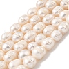 Natural Cultured Freshwater Pearl Beads Strands PEAR-I007-01E-01A-2