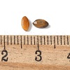 Natural Tiger Eye Cabochons G-Z075-05A-3