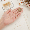 Beebeecraft Brass Eye Pins FIND-BBC0015-91F-3