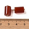 Natural Carnelian(Dyed & Heated) Pendants G-G110-04B-02-3