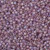 TOHO Round Seed Beads X-SEED-TR08-0166F-2