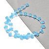 K9 Glass Beads Strands GLAA-Q102-02C-2