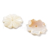Natural Freshwater Shell Beads SHEL-Z002-02-2
