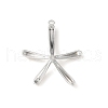 Alloy Pendants PALLOY-E029-01P-2