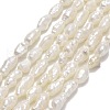 Natural Cultured Freshwater Pearl Beads Strands PEAR-J006-07A-1
