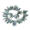 Electroplated Natural Freshwater Shell Beads SHEL-N026-197C-2