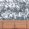MIYUKI Delica Beads X-SEED-J020-DB2166-4