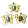 Natural Labradorite Pendants G-M288-01G-16-1