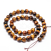 Natural Tiger Eye Beads Strands G-F260-02-14mm-2