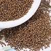 MIYUKI Delica Beads SEED-X0054-DB0664-1