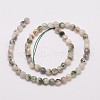 Natural Tree Agate Bead Strands X-G-G882-6mm-E02-2