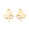 304 Stainless Steel Charms STAS-I151-09G-2