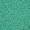 11/0 Grade A Round Glass Seed Beads SEED-N001-A-1030-2