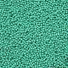 11/0 Grade A Round Glass Seed Beads SEED-N001-A-1030-2