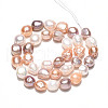 Natural Cultured Freshwater Pearl Beads Strands PEAR-N014-09A-01-3